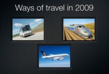 Ways of travel 2009